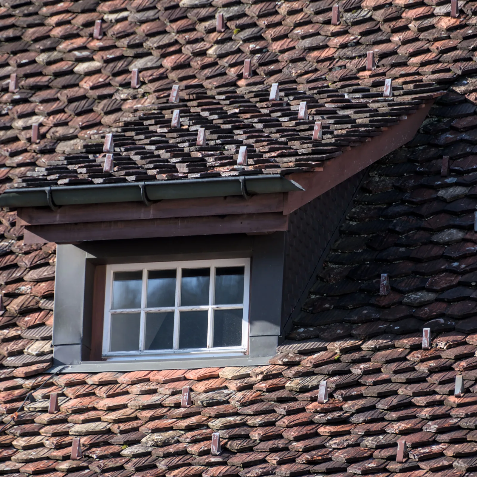 Tuiles plates posées sur liteaux et contre-liteaux, écran de sous-toiture gris visible dessous